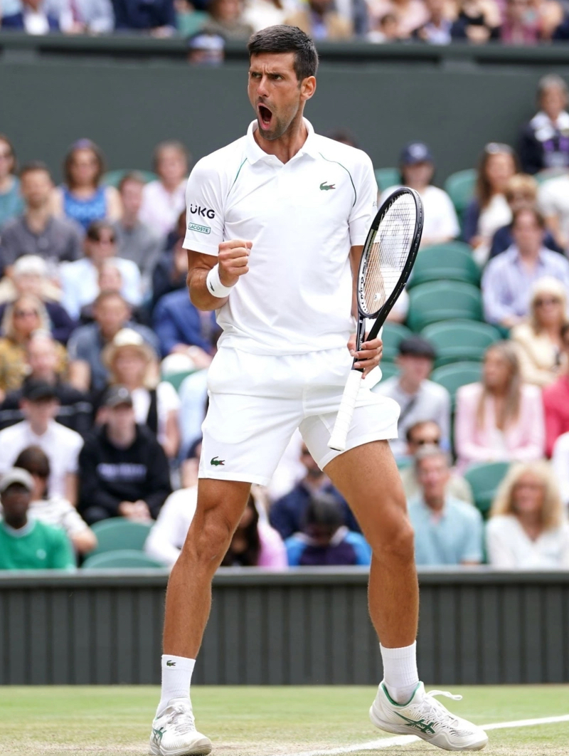 关于日本网球队完胜意大利网球队，德约科维奇统治全场的信息