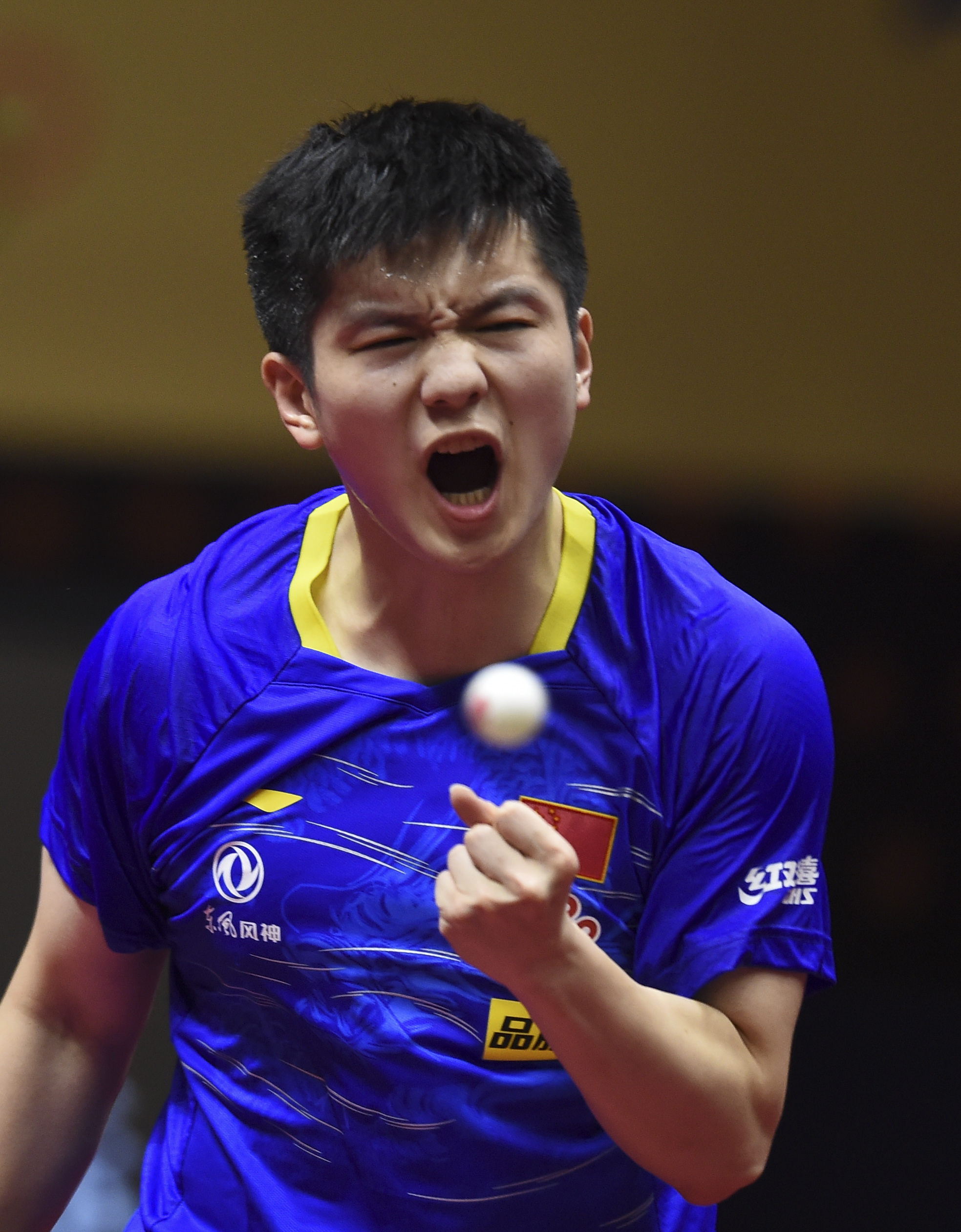 关于中国乒乓球队碾压日本乒乓球队，波尔绝境逆转的信息