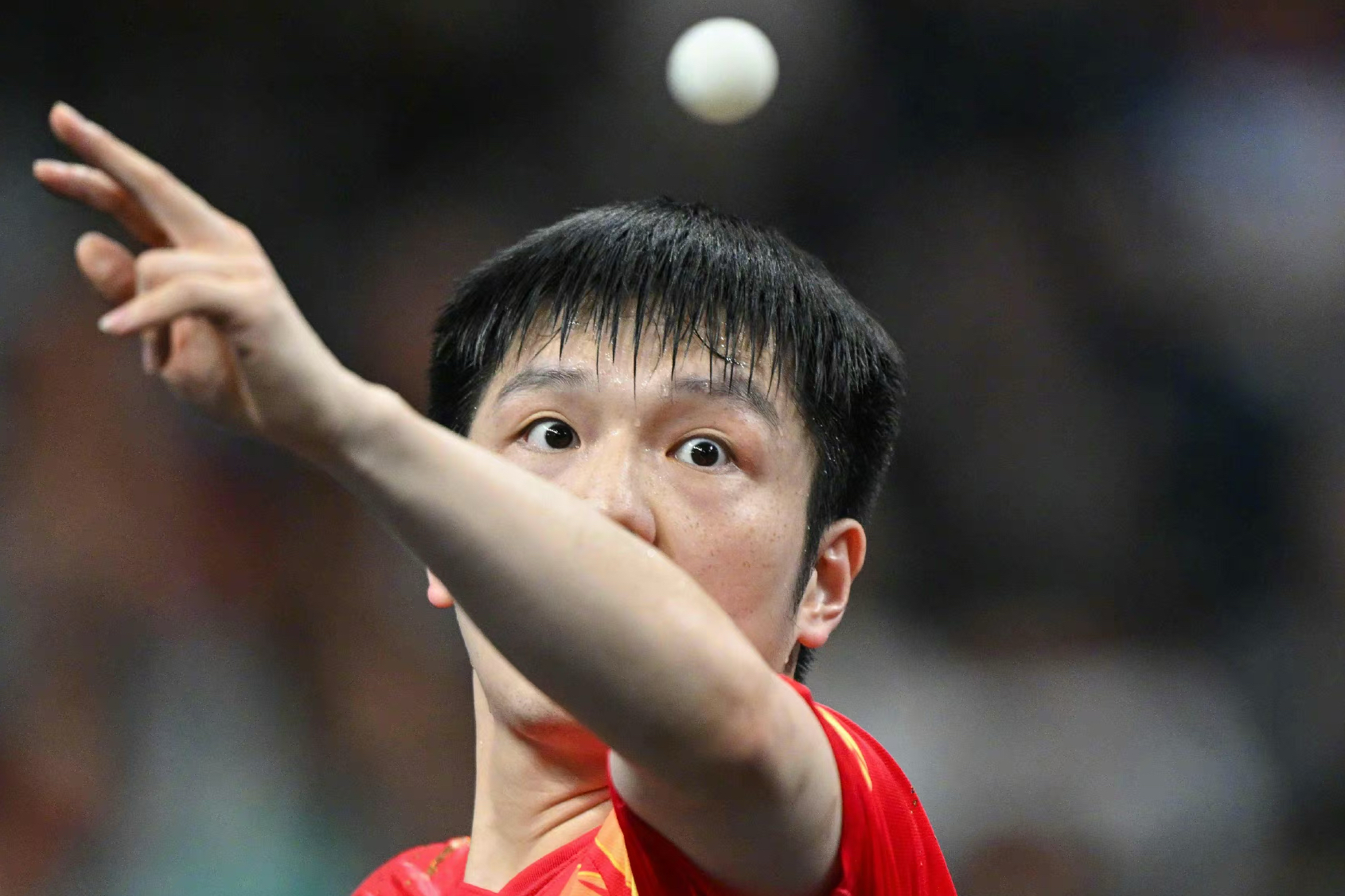 关于奥地利乒乓球队险胜韩国乒乓球队,樊振东统治全场的信息 关于奥地利乒乓球队险胜韩国乒乓球队,樊振东统治全场的信息